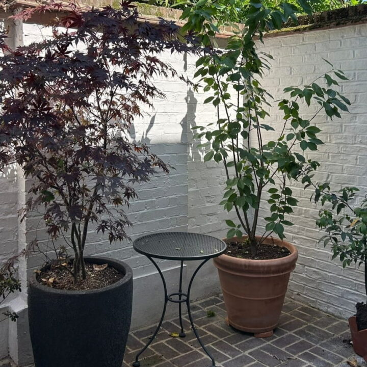 House Renovation & Garage Conversion - Richmond - Bledi Construction Ltd