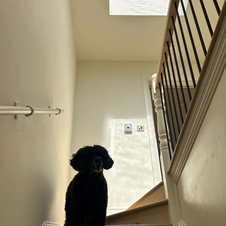 House Renovation & Garage Conversion - Richmond - Bledi Construction Ltd