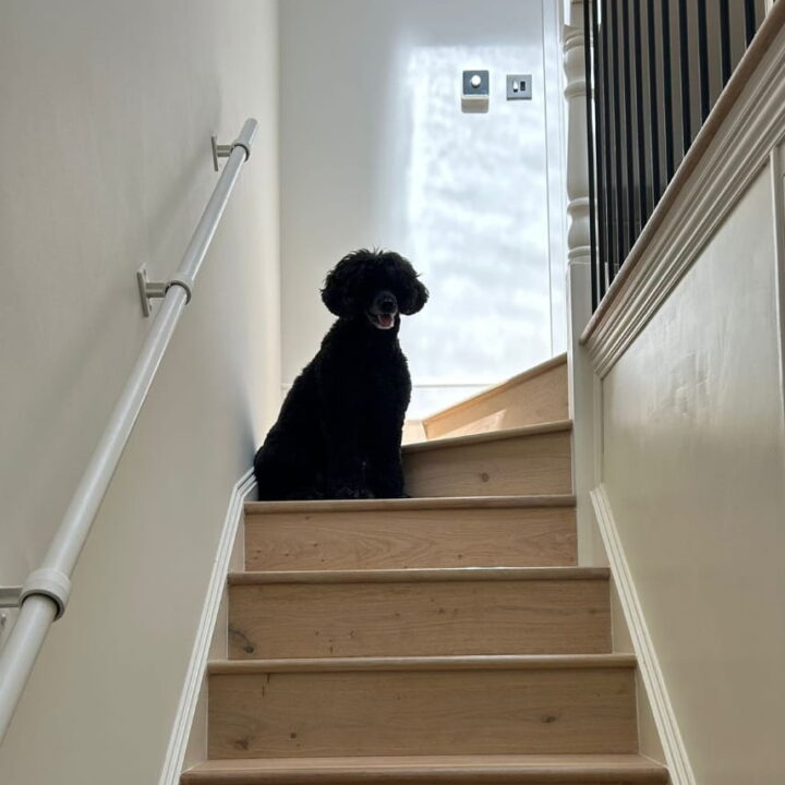 House Renovation & Garage Conversion - Richmond - Bledi Construction Ltd